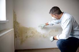 Best Comprehensive Air Testing for Mold Contaminants  in Coleman, TX